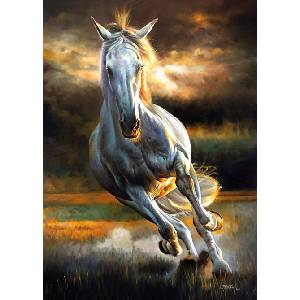 KS Games - Puzzle White Storm - 500 piese