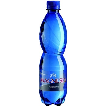 Magnesia neperlivá 12 x 0,5 l