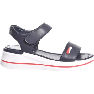 Avenue CAYDEN 37