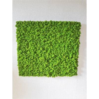 Mechový panel 90cm x 100cm