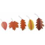 TITANUM Craft-Fun Series Leaves Paper Decoration (DIY-E-24 (36))