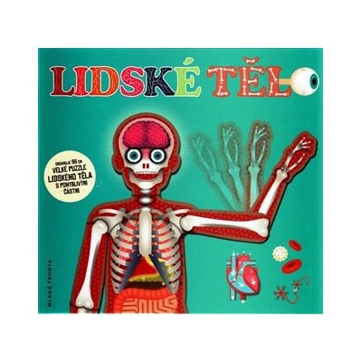 Lidské tělo