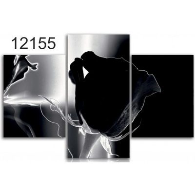 Divio Třídílný obraz na plátně růže, vzor 12155 Velikost: 120x180 cm