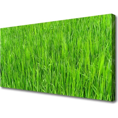 Obraz Canvas Zelená tráva príroda trávnik 100x50 cm