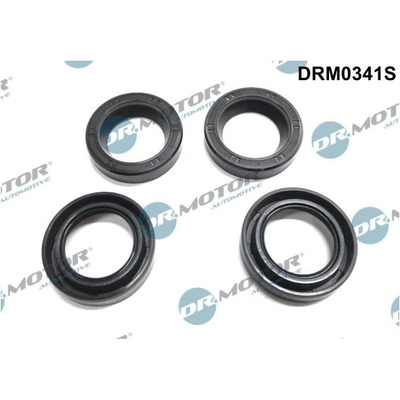 Tesneni, drzak trysky Dr.Motor Automotive DRM0341S