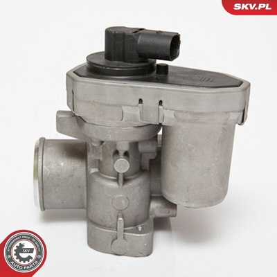 AGR-Ventil ESEN SKV 14SKV084