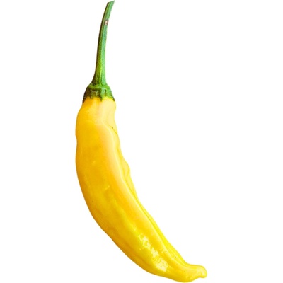 Need For Seed Chilli Lemon Drop semena 10 ks