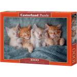 Castorland Пъзел Castorland от 1000 части - Най-сладките котенца (C-105144-2)