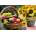 KS Games - Puzzle Fruits and sunflowers - 1 000 piese