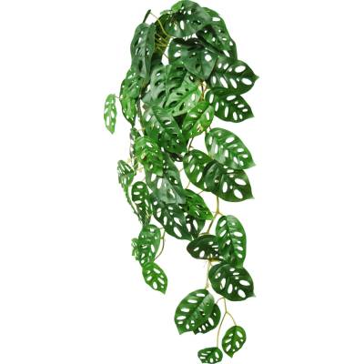 ILA Umělá rostlina Monstera Adansonii hanging (80cm)