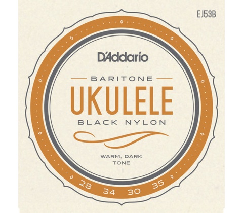 D'Addario EJ53B