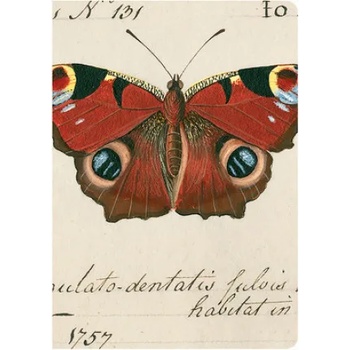 Bodleian Library Butterfly Notebook Set | Bodleian Library t Bodleian Library the, Oxford University Museum of Natural Hist