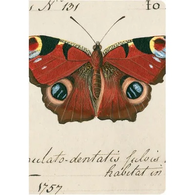 Bodleian Library Butterfly Notebook Set | Bodleian Library t Bodleian Library the, Oxford University Museum of Natural Hist