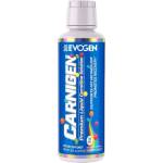 Evogen Nutrition Carnigen Liquid | with Added ALCAR [473 мл] Rainbow Candy