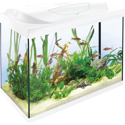 Tetra Starter Line akvarijní set bílý 80 l