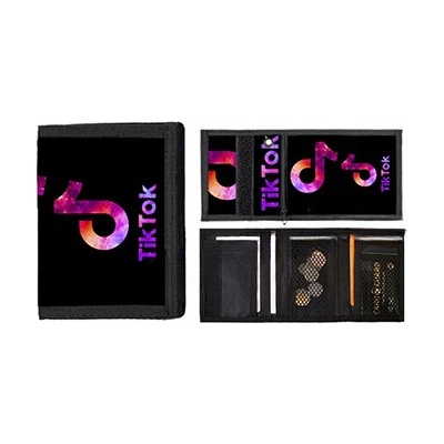 Tik Tok Rainbow Logo