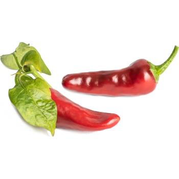 Veritable Вложка за семена Lingot декоративни растения (VLIN-L5-Pim060)