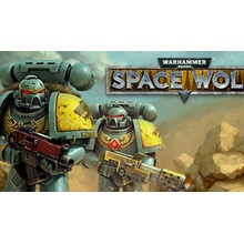 Warhammer 40 000 Space Wolf