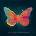 Consequences - Kim Edgar CD