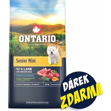 Ontario Senior Mini Lamb & Brown Rice 6,5 kg