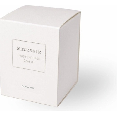 Alkotest MIZENSIR Figuier de Sicile 90