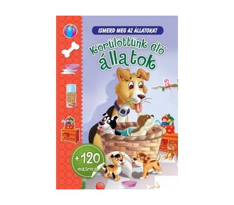 Körülöttünk élő állatok