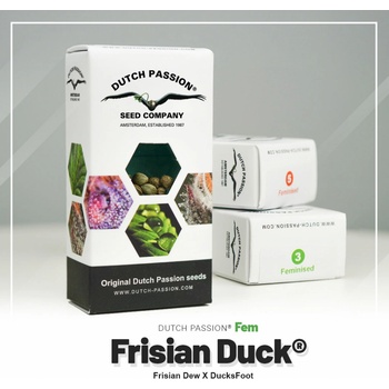Dutch Passion Frisian Duck semena neobsahují THC 5 ks