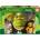 EDUCA Shrek 200 dielov