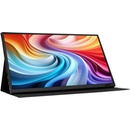 Acer PM161QTb