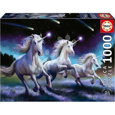 Educa Shooting Stars Anne Stokes a Fix lepidlo 1000 dílků