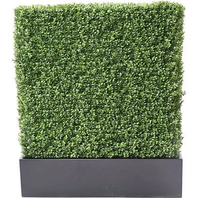 Zástena buxus 100cm x 60cm