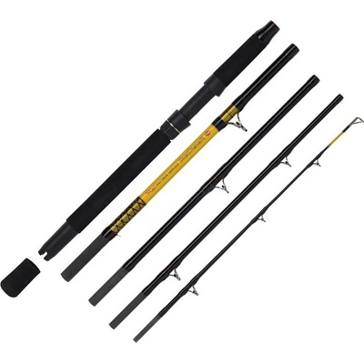 WFT Never Crack CatFish Boat 2,6 m 250-1000 g 5 dielů