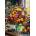 Bluebird Puzzle - Puzzle Colourful Bouquet - 1 000 piese