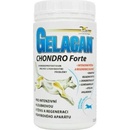 Gelacan Chondro Forte plv 500 g