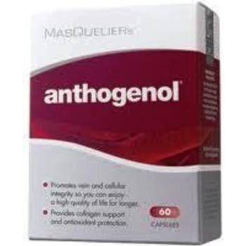 Imunotop Anthogenol 60 kapslí