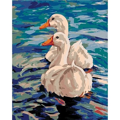 Zuty Malování podle čísel Dvě kachny na vodě 80 x 100 cm vypnuté plátno na rám