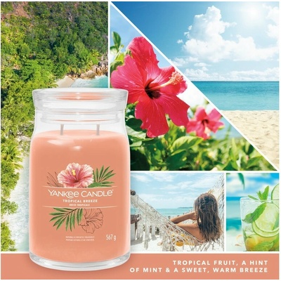 Yankee Candle Tropical Breeze signature 567 g