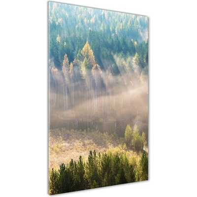 Vertikálny fotoobraz na skle Hmla nad lesom 50x100 cm