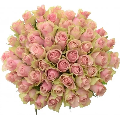 Kytice 55 růžových růží BELLE ROSE 60cm