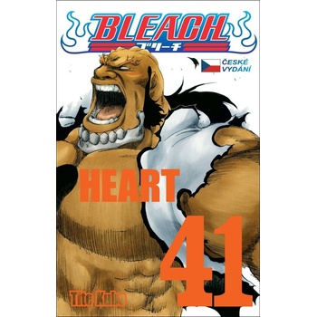 Bleach 41 Heart