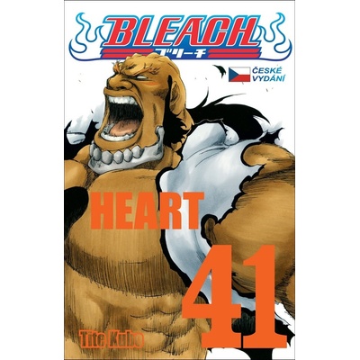Bleach 41 Heart