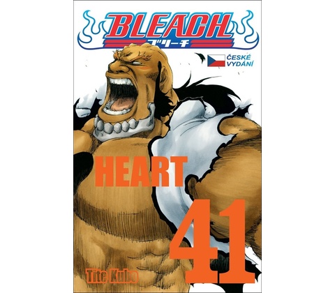 Bleach 41 Heart