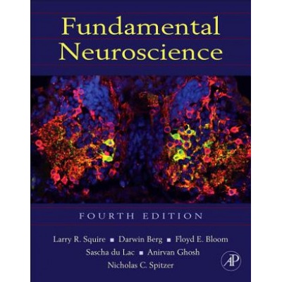 Fundamental Neuroscience Squire Larry R.