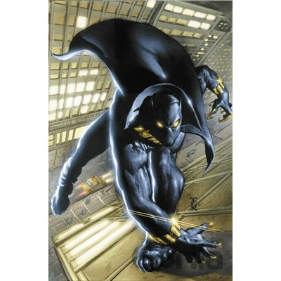 Black Panther By Christopher Priest Omnibus Vol. 1