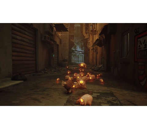 Stray