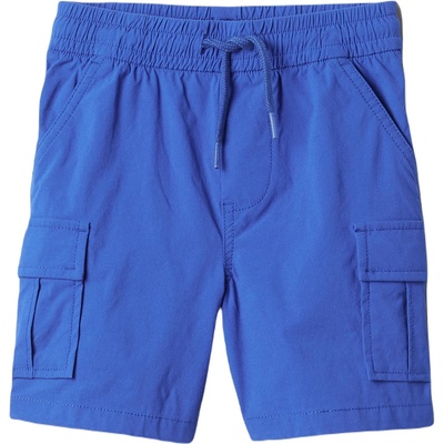 GAP V-hybrid cargo 2y