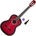 Pasadena PC-10 Basic SET 4/4 Red Burst Класическа китара
