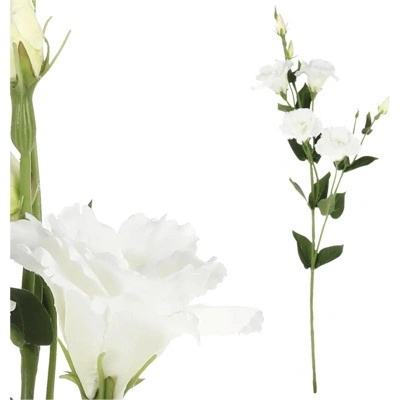 Umelá eustoma 80 cm biela
