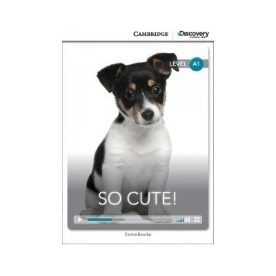 So Cute! Beginning book with online access