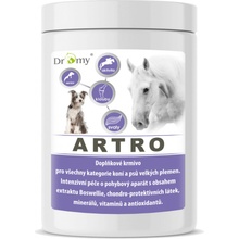 Dromy Artro FORTE 900 g
